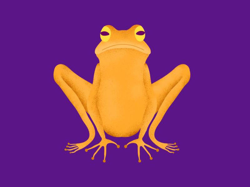 Frog 🐸 by Ido Shtral on Dribbble