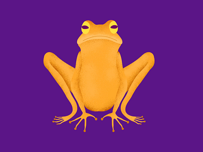 Frog 🐸