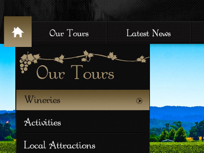New Wine Website