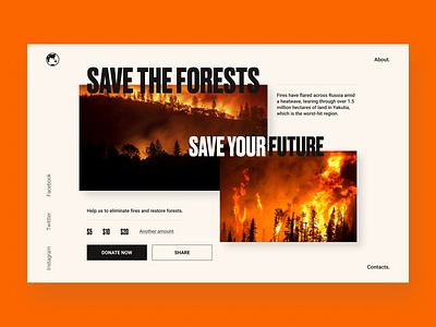 Crowdfunding Campaign crowdfunding campaign daily ui daily ui challenge fire forest greenpeace nature ui website