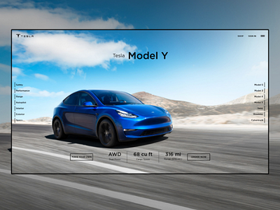 Tesla Model Y minmal webui landing page