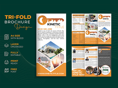 Modern Tri-fold brochure design