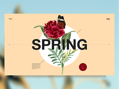 Spring - concept artdirection design digital digitaldesign landingpage ui uidesign uiux visualdesign web