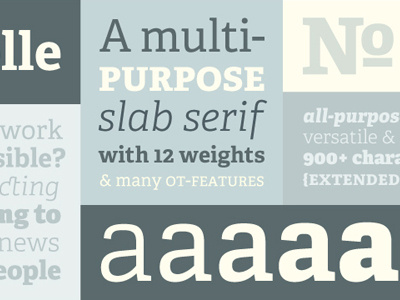 Typographic layout layout poster slab serif type specimen typography