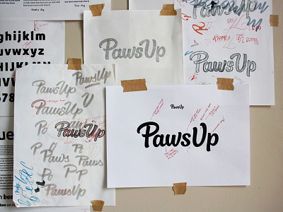 Paws Up progress brush script custom lettering hand lettering logo design logotype process sketch wordmark