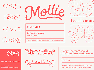 Mollie Wine Branding branding custom typography lettering logo logotype monoline ornament pattern script typography wine wordmark