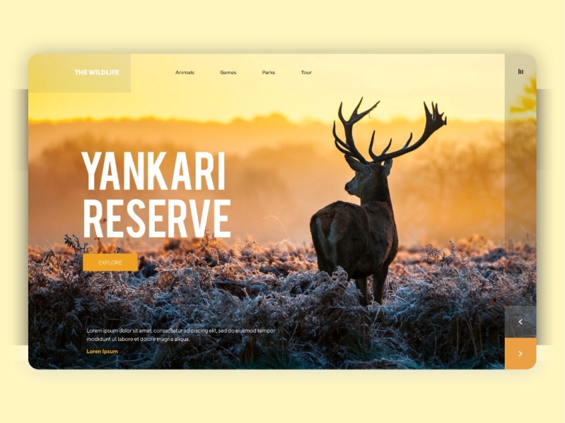 THE WILDLIFE CASE STUDY UI/UX DESIGN by BIODUN OLAOLUWA on Dribbble