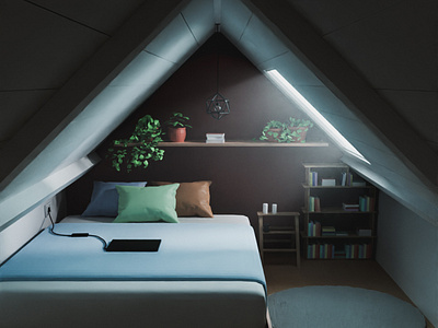 Room in the Attic