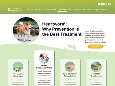 Heartworm Prevention Website animal animal care charity daily ui daily ui 003 design disease heartworm landing page landingpage pets prevention website