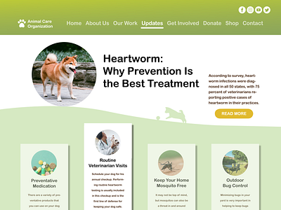 Heartworm Prevention Website