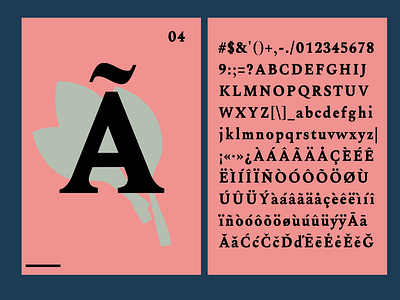 Acelga Font design illustration type typography