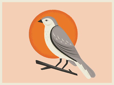 Mockingbird bird illustration retro sun texture vintage