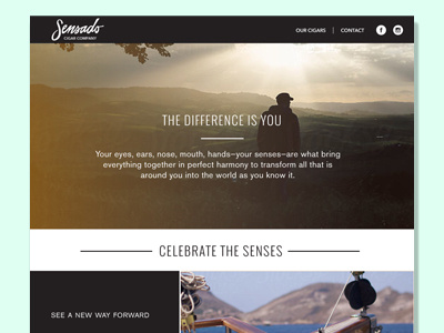 Sensado Homepage cigars design web