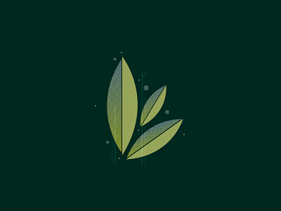 Leef green illustration leaf olive