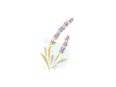 Flower Series 2 green illustration lavender plant purple summer texture