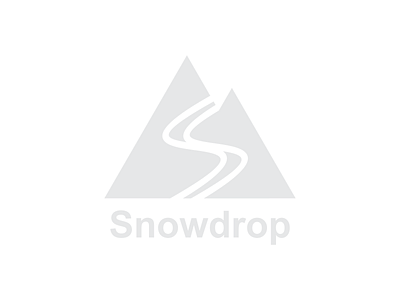 Ski Mountai Logo branding dailylogo dailylogochallenge design flat icon illustration logo minimal vector