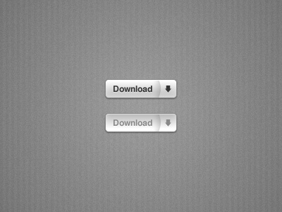 Download button