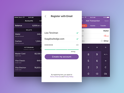 Personal Finance app design interface ios iphone money ui ux