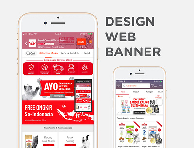 Design Banner Web for Royal Canin app design flat illustration illustrator minimal typography ui web