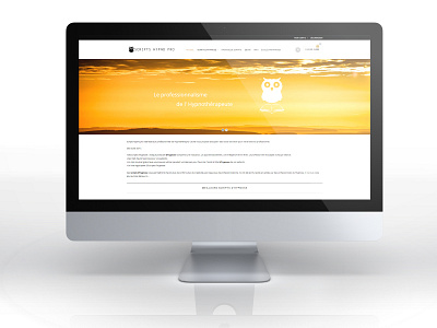 Service websites ( hypnotherapist/senior care/nurse/secretary) web design webdesign website website design websites