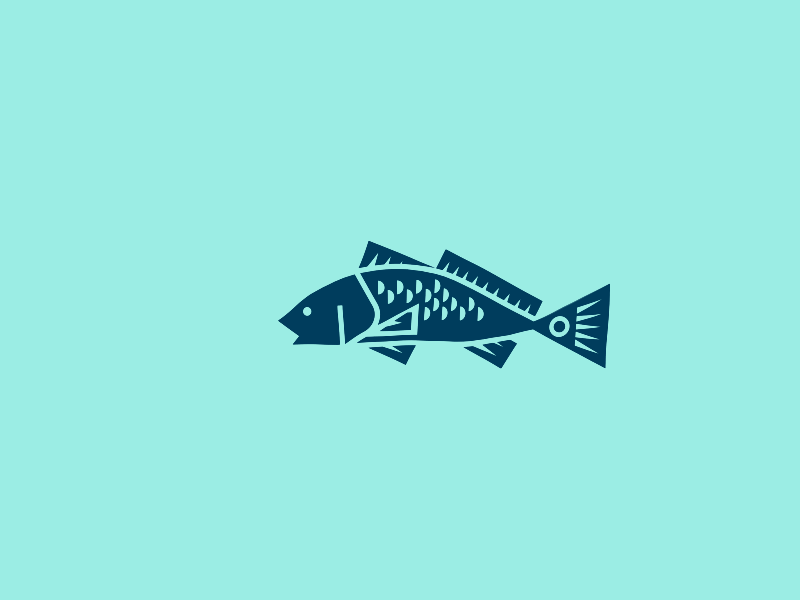 Fish Gif Animation by BrandMills Studios on Dribbble