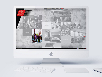 Colibri Website (2012) design website