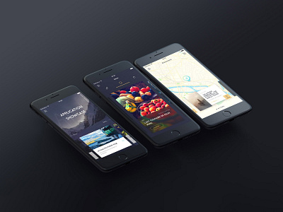 Showcase App (2016) app design mobile ui ux