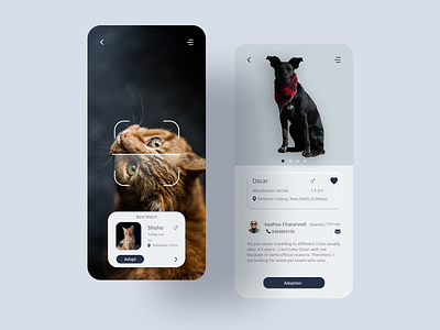 Pet Adoption App app design minimal pet pet adoption pet app