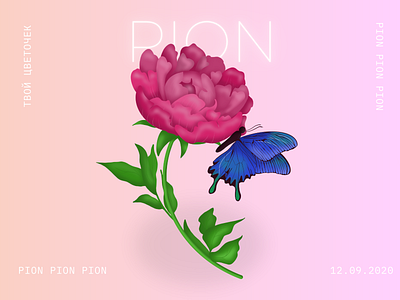 Pion