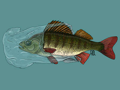 SAVE PERCH design flat illustration illustrator logo vector