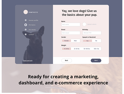 Landing page for pets website landing page ui ux