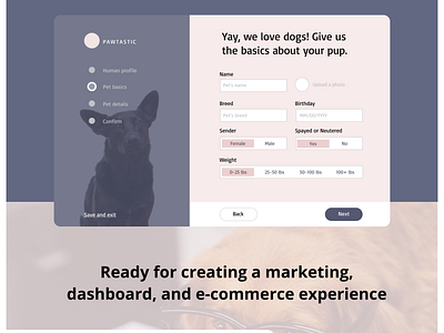 Landing page for pets website