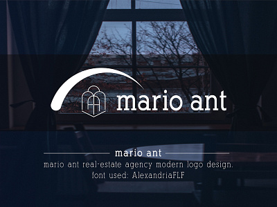 Mario Ant | Modern Minimalist logo design inspiration