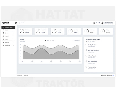 Sort of Dashboard between Wireframe and UI