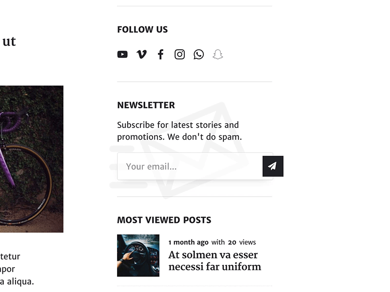Newsletter Widget wordpress themeforest theme template widget newsletter ui wp envato