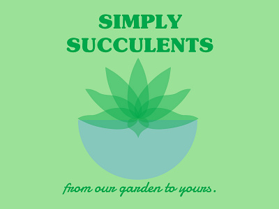 Simply Succulents