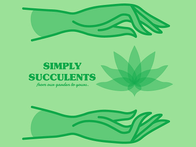 Simply Succulents art branding design graphic design illustration