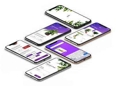 root Mobile App (iPhoneX) branding interface iphone mobile typography ui userinterface