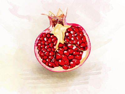 Pomegranade.. design design art draw drawing drawingart fruit fruit art fruit illustration illustration pomegranate vector
