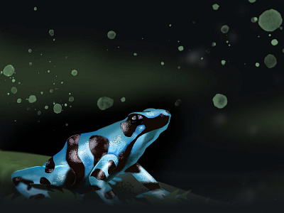Frog creative design digital art graphic design illustration nature photoshop ui vector