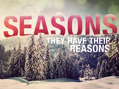 Seasons title design design holiday red seasons tree typography white winter