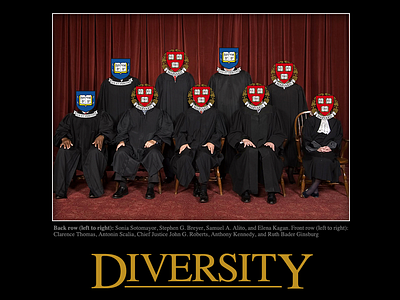 Supreme Diversity editorial graphic design harvard yale