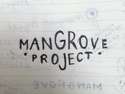 Mangrove Project - Logo Sketch branding concept leadership logo mangrove project minnesota sketch tristan richards vocation