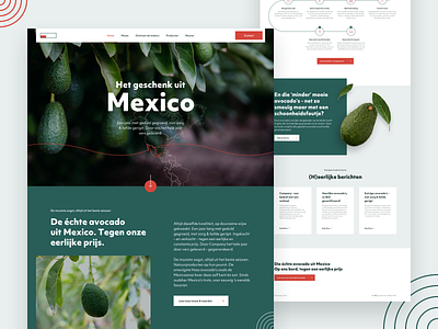 Homepage for avocados importer avocado clean design homepage landing mexico ui ux web