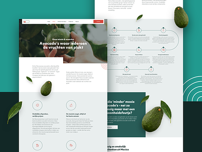 Content pages for avocados importer avocado clean content design importer pages ui ux web wp