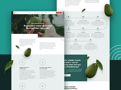 Content pages for avocados importer