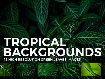 12 Tropical Leaves Backgrounds