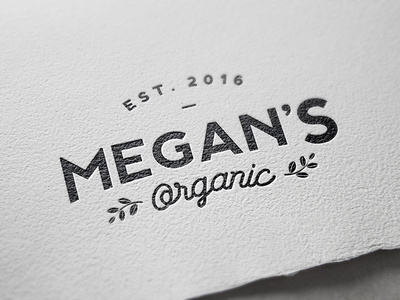 Organic food business branding project