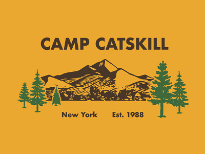 Camp Catskill camp catskill futura mountains nature newyork ny trees