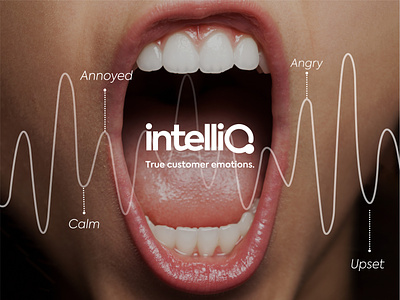 intelliQ Concept branding design graphic design logo typography